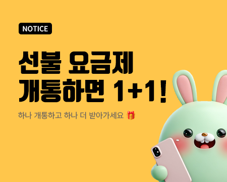 1+1 선불요금제